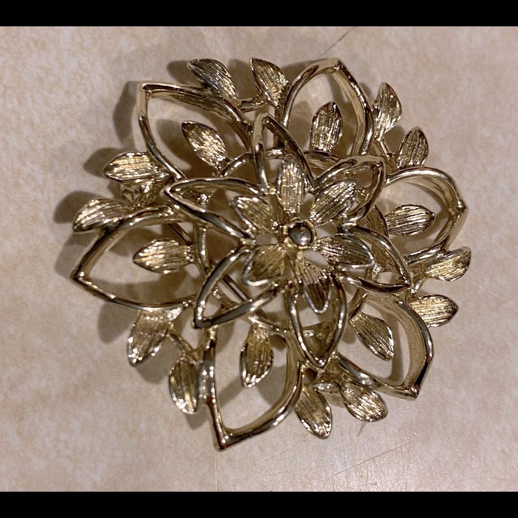 Sarah Coventry Brushed Figural Floral Brooch 21$